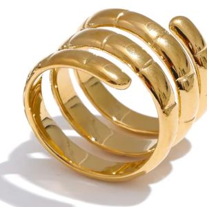 Anillo Doble Espiral