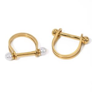 Anillo en D con grilletes de herradura