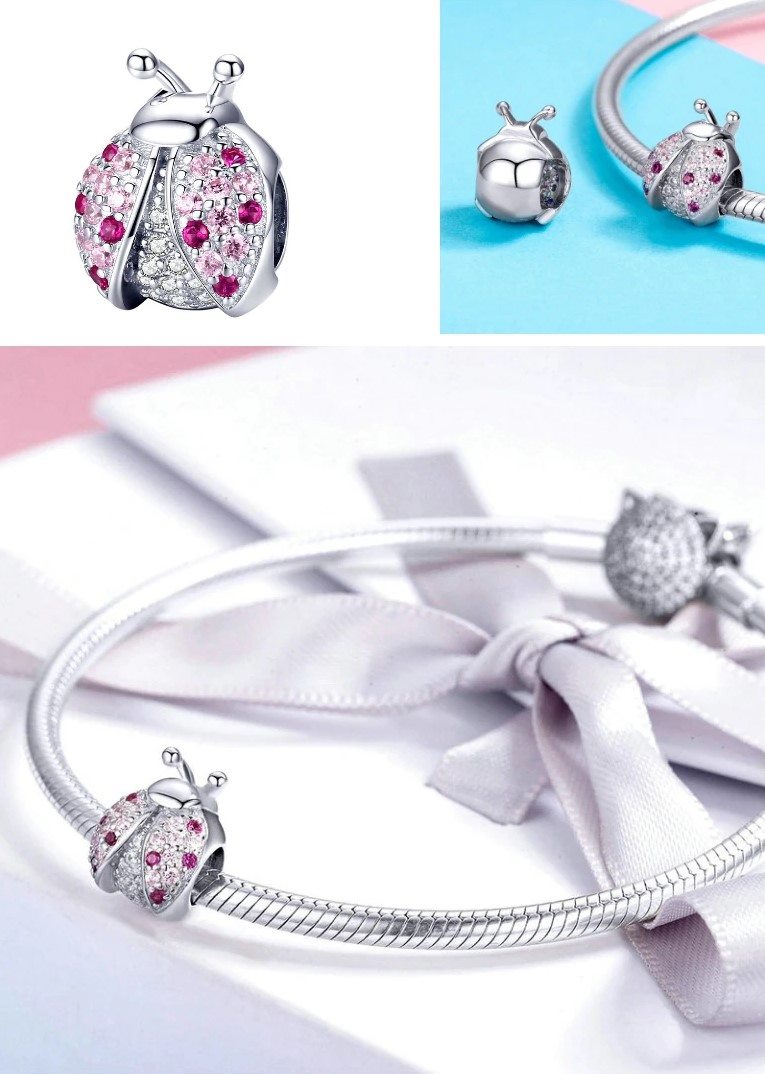 Charm Catarina con cristales Plata 925